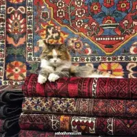 فرق بین گلیم و گبه و فرش؛ کدوم بهتره؟