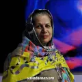 شهین پزشکی دایره المعارف دوخت های سنتی ایران